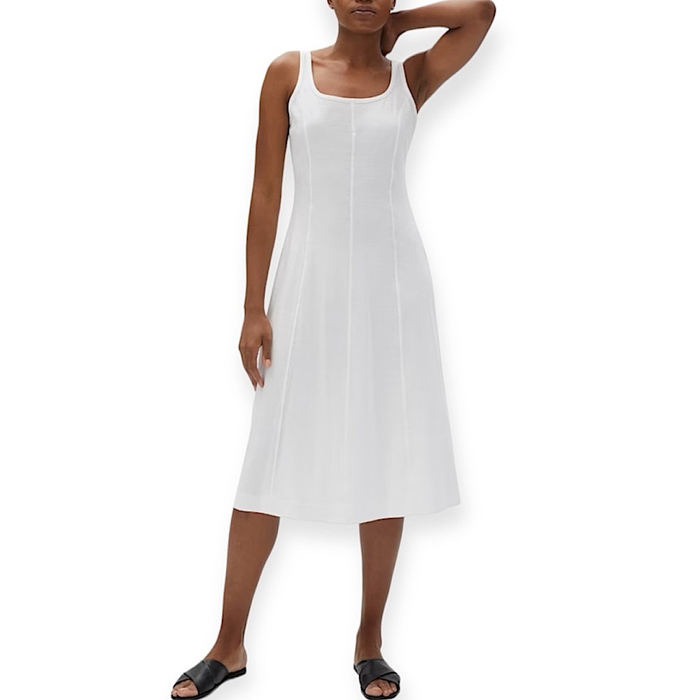 Everlane The Luxe Cotton Seamed Tank Dress